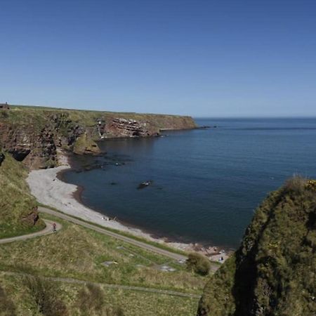 Clifftop Cottage آربروث المظهر الخارجي الصورة